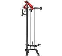 SPORTNOW Station de Musculation à Poulie Machine à Câble LAT Fixation Murale Charge de Poids Personnalisable 85x68x210cm Noir