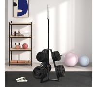SPORTNOW Support de poids pour plaques, barres et haltères - rack de rangement pour plaques de poids capacité max. 300 kg