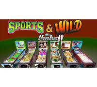 Sports and Wild Pinball (Nintendo)