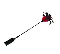 Cravache et Plumeau Feather Slapper