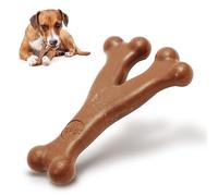 Spot Bambone Wish Jouet à mâcher en Forme d'os pour Animal Domestique Taille L