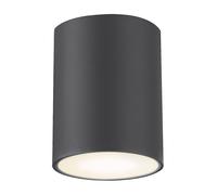 Plafonnier tuba spot extérieur anthracite luminaire extérieur. [EEK: G]