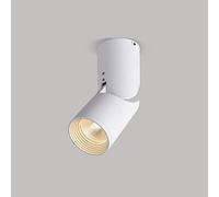 SHREALMS Spot dirigé réglable 12W COB LED Moderne Spot directionnel Réglable 90 degrés Monopoint Plafond Spot d'Accent pour Intérieur Foyer Salon Cuisine (White-3000k)