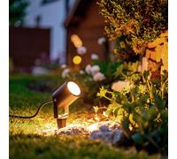 LEDKIA LIGHTING Spot extérieur LED Fern Easyfit 3W 12V sur piquet Noir