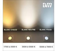 Spot Fixe - À Encastrer - Culot Gu5.3 - Blanc - Fixo Aric