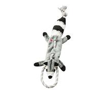 SPOT Forest Raton Laveur Skinneeez Jouet sans Rembourrage pour Chien 58,4 cm
