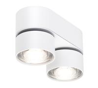 Spot inclinable LED wi4-ab-2ov mat + convertisseur LxWxH 17.6x7.6x9.7cm/phase-cut dimmable
