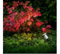 Spot LED Arigo