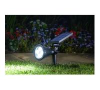 Spot Lumi 70L, Mail Order