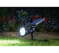 Spot Lumi 70L, Mail Order