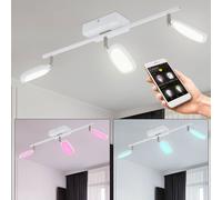 Lámpara de techo, lámpara de salón, lámpara de comedor, dormitorio, 3 bombillas, aplicación y control por voz, regulable, blanco plata, LED RGB 5W 600Lm 2700-6500K, L x An 59x8cm