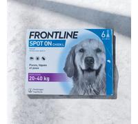 Frontline Spot On Chien L – Anti-puces et anti-tiques – 20–40 kg – 6 pipettes