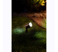 Spot solaire 300 lumens détecteur