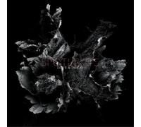 Spotlights Love & Decay (CD) Album