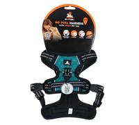 Spotted! Pro Harnais anti-traction - Tour de poitrine 41 à 50 cm - Harnais pour chien avec broche QR - Harnais pour chien anti-traction - Imperméable - Taille XXS - Vert