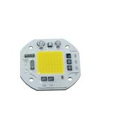 SPOUPKFKCK Source de lumière linéaire for perle lampe 20W 30W 50W AC220V, mise for niveau Anti-surtension 3500V 3000K 6000K 380-840NM, pilote DOB(White Light,50W)