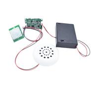 Spourita Module D'Enregistrement Kit de Capteur Infrarouge Humain DIY Carte TF Requise avec Pir Infrarouge Sensor Support USB Téléchargement