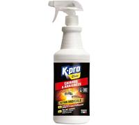 Spray Aérosol Anti Cafards et Araignées Action Radicale Effet Longue Durée Facile d'utilisation Technique Professionnelle 1l
