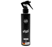 Spray au sel de mer Spray au sel Eau salée Spray pour cheveux au sel de mer plus de texture et de volume pour les cheveux Spray d'eau salée mat pour un look 200 ml