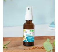 Spray buccal propolis eucalyptus bio