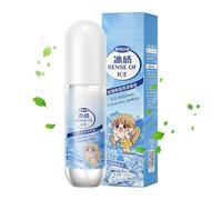 Spray De Brouillard Pour Le Corps De Refroidissement - Spray Rafraîchissant À Action Rapide Pour Le Soulagement Par Temps Chaud | Mis D'hydratation Apaisante Pour Les Coups De Soleil D'été, L'expositi