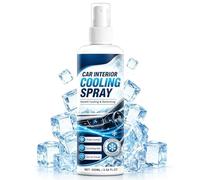 Spray De Refroidissement Intérieur De Voiture - Spray Antigel Pour Voiture, Désodorisant Instantané À Froid De 100 Ml Et Bombe Éliminateur D'odeurs, Brume | Pour La Conduite D'été De Rembourr