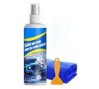 Spray dégivrant pour pare-brise - 100 ml - Antigel et anti-neige - Spray de dégivrage pour pare-brise de voiture avec grattoir et chiffon - Pour voitures, camions, SUV - En hiver dans la neige et