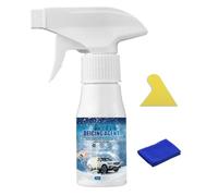 Spray Dégivrant pour Pare-brise, 60 Ml, Agent de Dégivrage Et de Fonte de Neige pour Voiture, Spray À Action Rapide, Avec Éponge Et Chiffon, Pour Pare-brise En Hiver
