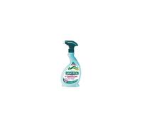 Spray désinfectant multi-usages Eucalyptus 500 ml
