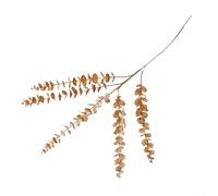 Spray d'eucalyptus finition dorée avec ginkgo et éventail pour feuille pour affichage encadré et décoration murale de galerie (1)