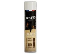 Spray d'Origine Végétale 250ml pour Cafards KENAVO 3258790016856