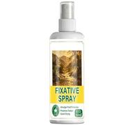 Spray fixateur de surface brillante pour l'art, spray fixateur professionnel pour pastel à l'huile, fixation de couleur haute efficacité, peinture acrylique transparente à séchage rapide (1pc)