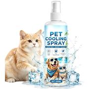 Spray Froid 100ml Rafraîchissant Longue Durée Soulagement Chaleur