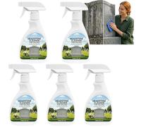 Spray nettoyant pour pierres tombales et monuments funéraires en granit et marbre, kit de nettoyage et de polissage avec chiffon et éponge pour l'entretien des monuments extérieurs (5Pcs)