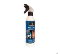 Spray nettoyant Woodstock Mouss'Express vitres