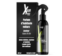 Spray Parfum voiture interieur senteur Acqua di Gio - 300 ml - Concentré et économique - Désodorisant voiture longue durée, assainissant et non entêtant - Format poche