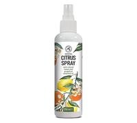 Spray parfumé d'agrumes - Citron et pamplemousse - Chambre aromatique - Huiles essentielles - 250 ml