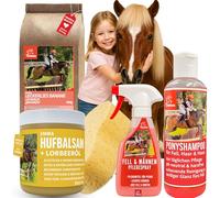 Spray pour crinière de Cheval I Shampooing I Spray Scintillant I Graisse Scintillant I Miam pour Chevaux I Éponge Kit de Soins pour Enfants 5 pz I Kit de Nettoyage I Contenu de la boîte de Nettoyage