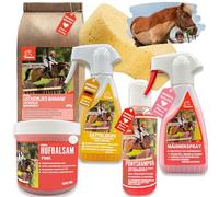 Spray pour crinière pour chevaux + shampoing Mane n tail + savon de selle en cuir + graisse pour chevaux I Friandises pour chevaux I Éponge pour cheval I Kit de soins pour enfants 6 pièces I Kit de