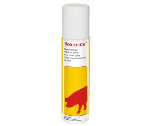 Spray pour verrats Kerbl Boarmate FR/ES Argenté 80 ml
