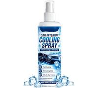 Spray Rafraîchissant Intérieur Voiture,100ml Désodorisant Rafraîchissant | Éliminateur D'Odeurs Spray Fraîcheur Voiture - Pour Tableau De Bord Siège Cuir Coussin Camion SUV Camping-Car Automobile