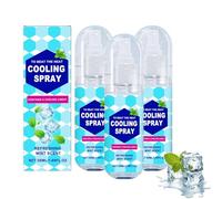 Spray Rafraîchissant pour Temps Chaud - 50 Ml, Parfum Menthe Naturelle - Soulagement Rafraîchissant Instantané pour Le Visage Et Le Corps, Prévient Les Coups de Chaleur (3 Pièces)