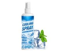 Spray rafraîchissant pour temps chaud - Brume froide à absorption de