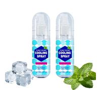 Spray rafraîchissant pour temps chaud, léger, à séchage rapide, apaise et hydrate la peau, brume rafraîchissante et hydratante polyvalente pour tous les types de peau (2PCS)