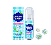 Spray rafraîchissant pour temps chaud, spray de brume rafraîchissante en été, spray à la menthe naturelle pour refroidir le visage et le corps, rafraîchissement par temps chaud et extérieur, prévient