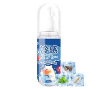Spray Rafraîchissant Soulagement Naturel Doux Apaisant Longue Durée | Brume Corporelle Rafraîchissante pour Femme Pour Les Journées Chaudes D'Été Les Voyages Le Soulagement Par Temps Chaud Toute