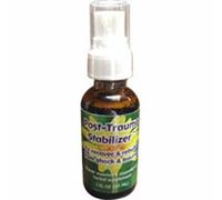 Spray Stabilisateur Post-Trauma 1 Oz Par Flower Essence Services