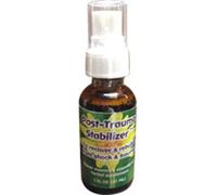 Spray Stabilisateur Post-Trauma 1 Oz Par Flower Essence Services