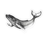 Spreadshirt Dessin Baleine Mer Océan Autocollant/Sticker, 10 x 10 cm, brillant transparent