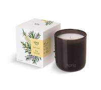 Sprig by KOHLER Shield - Bougie d'aromathérapie avec arbre à thé et romarin, cire de soja et noix de coco 100 % naturelle, parfum fort et centrant, 236,8 g